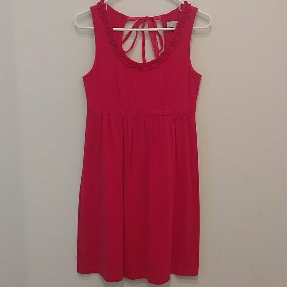 LOFT dress